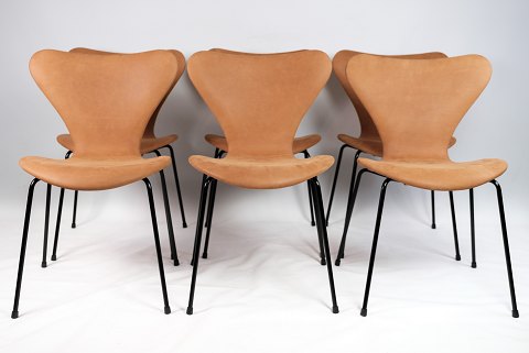 Serie 7™ 3107 80th jubilæums model fuldpolstret stol i slebet Walnut læder med 
stel i sort pulverlakeret stål.
Flot stand
