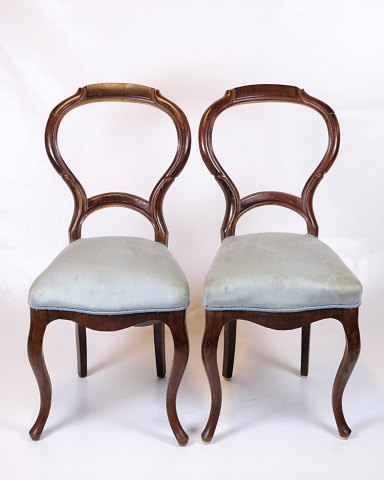 Set of 2 chairs - Rococo - Mahogany - Light blue fabric -1860s
Great condition
